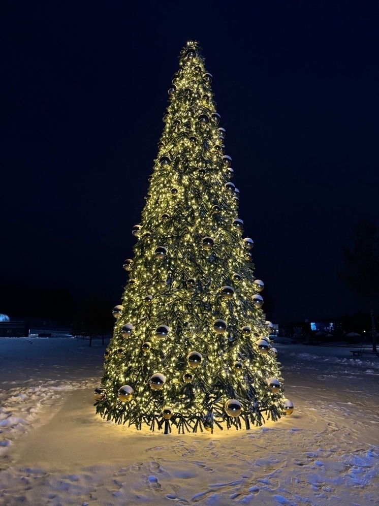     Фото: "МК Донбасс"/Марианна Образцова
