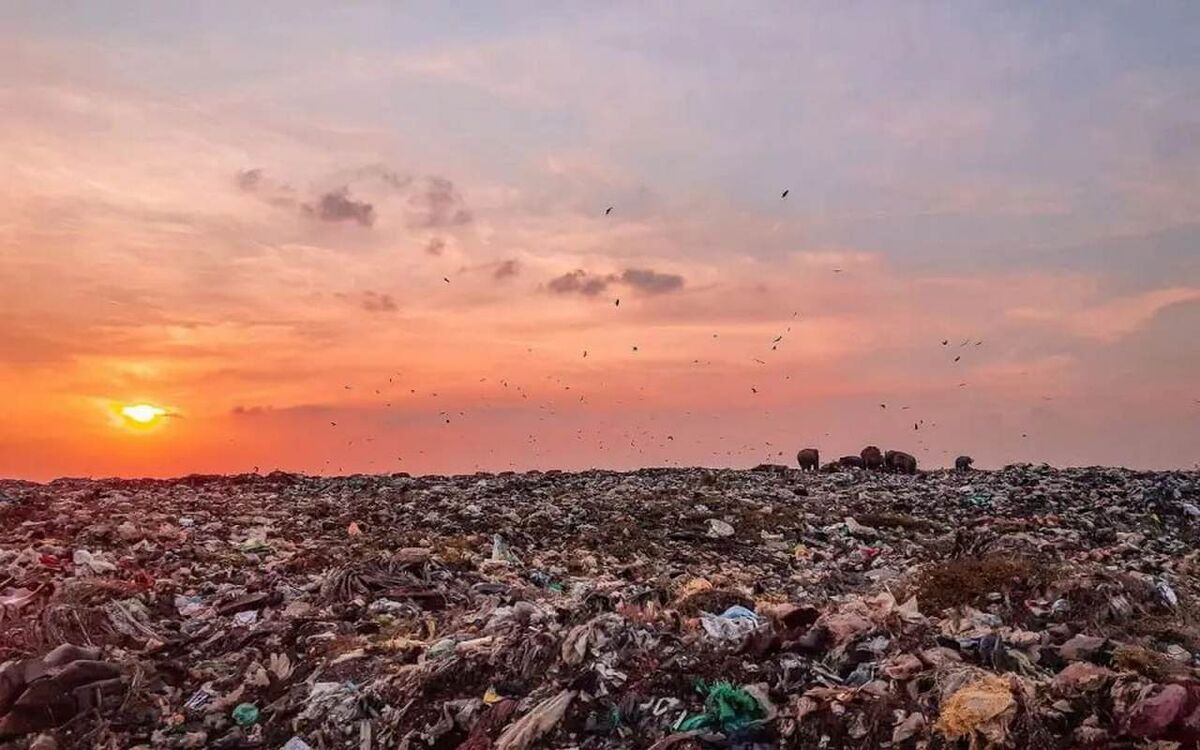    Росприроднадзор требует от администрации Богучарского района Воронежской области более 16 млн рублей за вред почвам Фото с loon.site