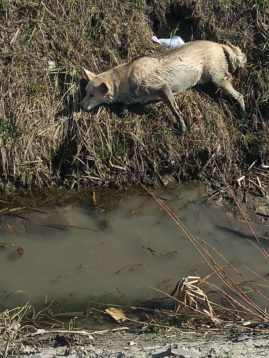 Персей. Фото из архива 