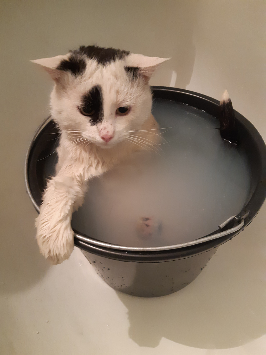 Каково ведро - такова и крышка.