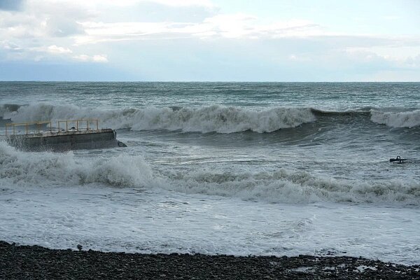    Фото: пресс-служба администрации города Сочи
