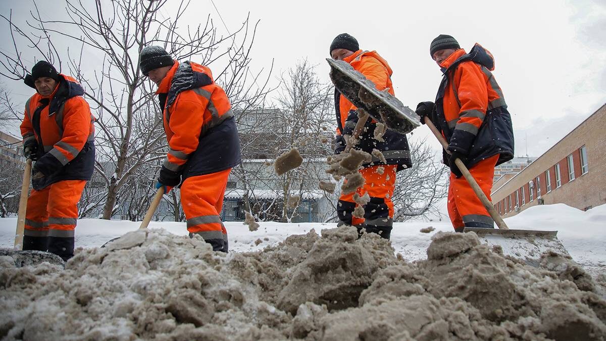    Фото: Артур Новосильцев / АГН Москва