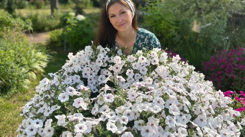 Почему петуния «не шаром»: главная ошибка, о которой молчат перед посевной