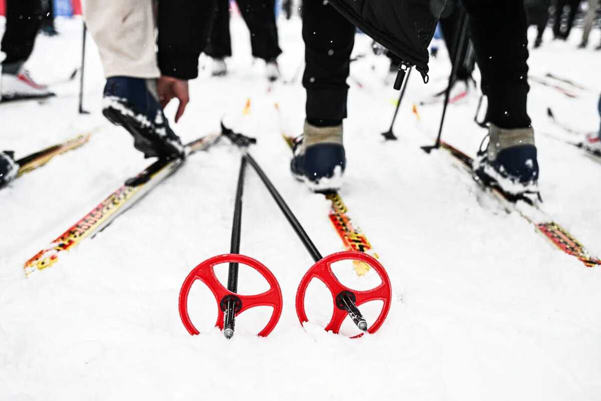     © РИА Новости. Алексей Филиппов