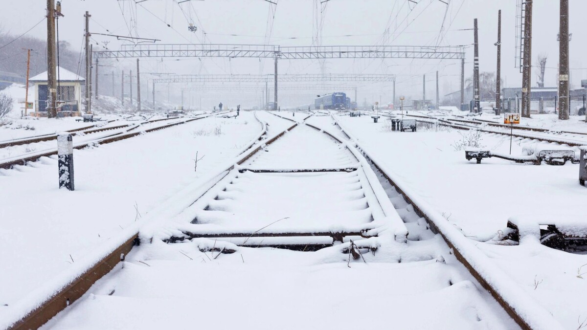    Фото: Sergii_Petruk/Shutterstock/Fotodom