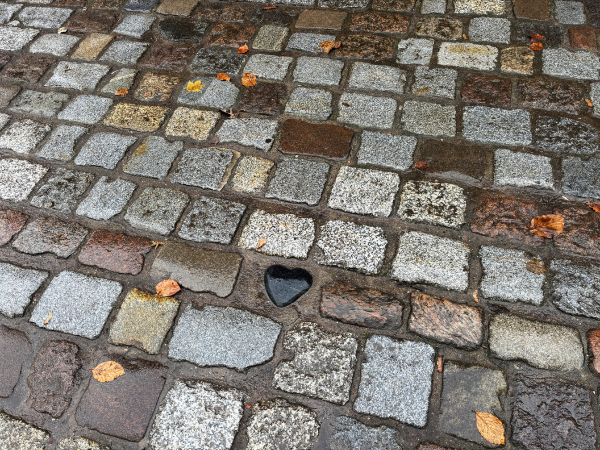 У вас такой есть? Трогательный арт-объект "Сердце Кёнигсберга" рядом с надгробием Канта. Расположение камня указывает на 1724 год. Со стороны могилы Канта он 17-ый по счёту, а с противоположной стороны - 24-ый. 1724 год - год рождения И.Канта и дата официального объединения трех городов (Альтштадт, Лёбенихт и Кнайпхоф) в единый Кёнигсберг. Фото моё.