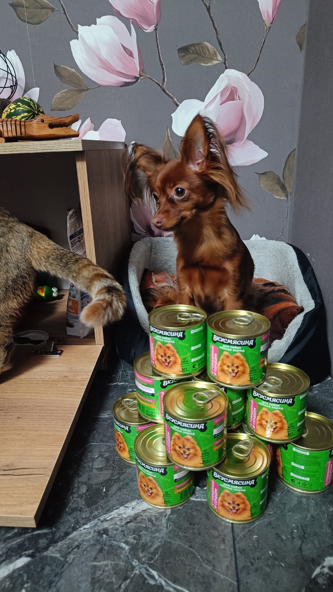 Молли тоже с подарками