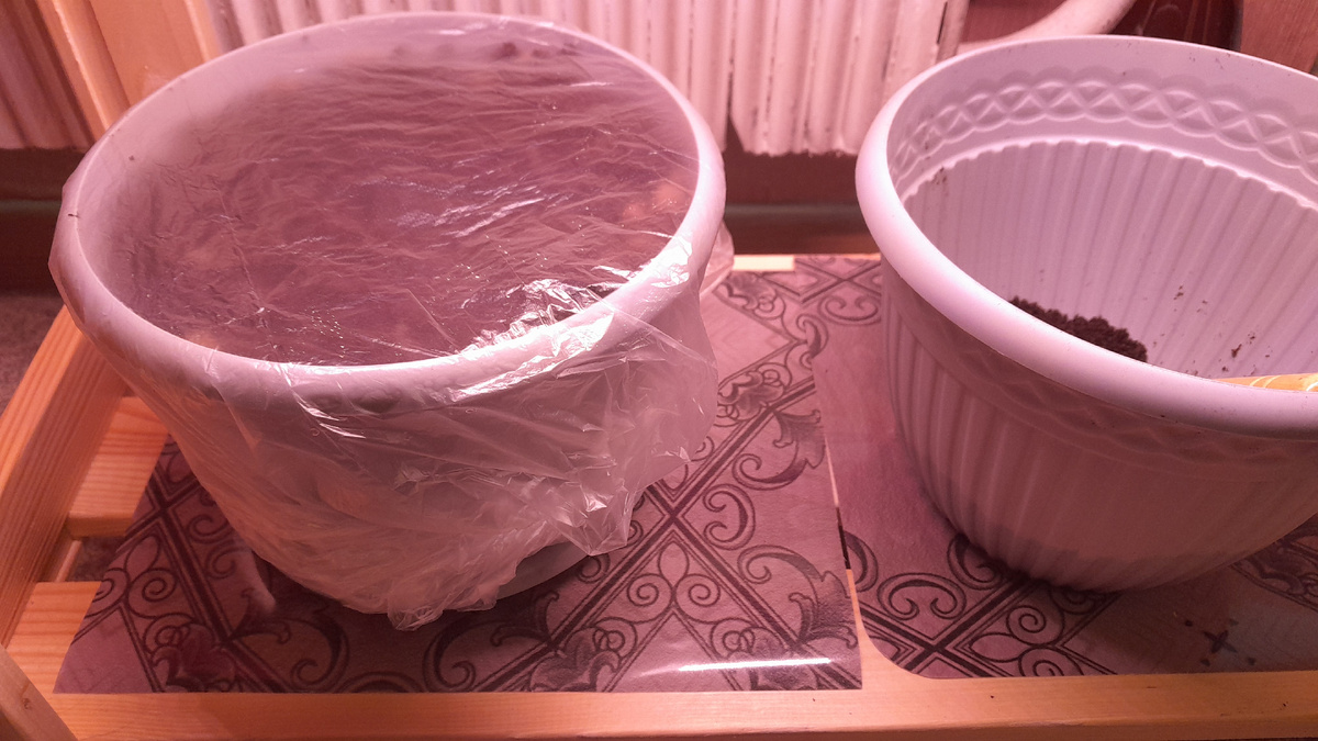 Под парничком