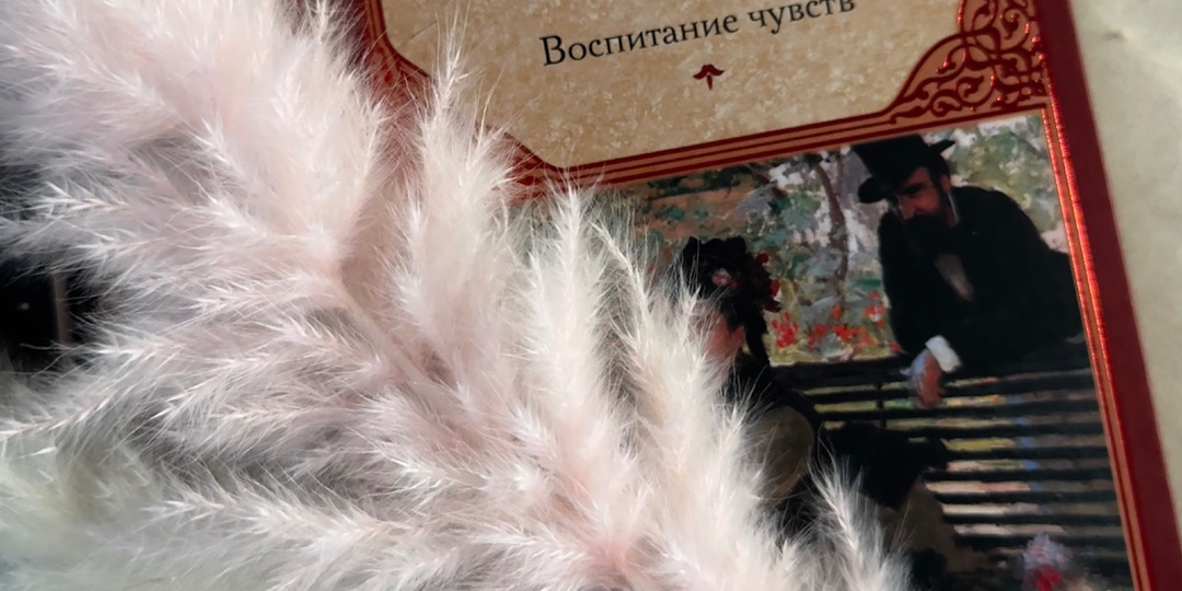 «Воспитание чувств» Г.Флобер