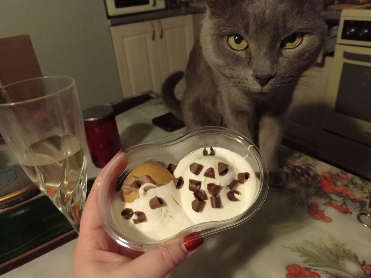 Наш любитель сливочных десертов.