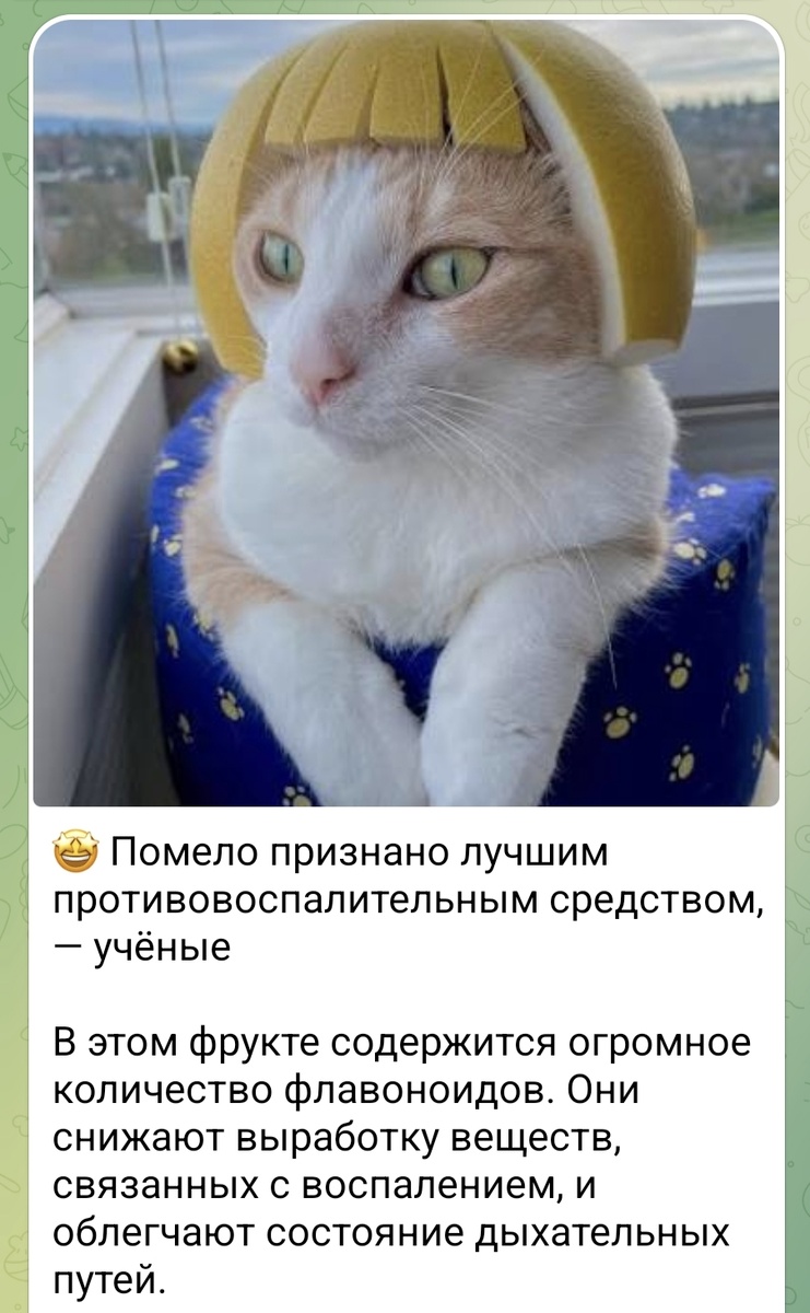 из интернета