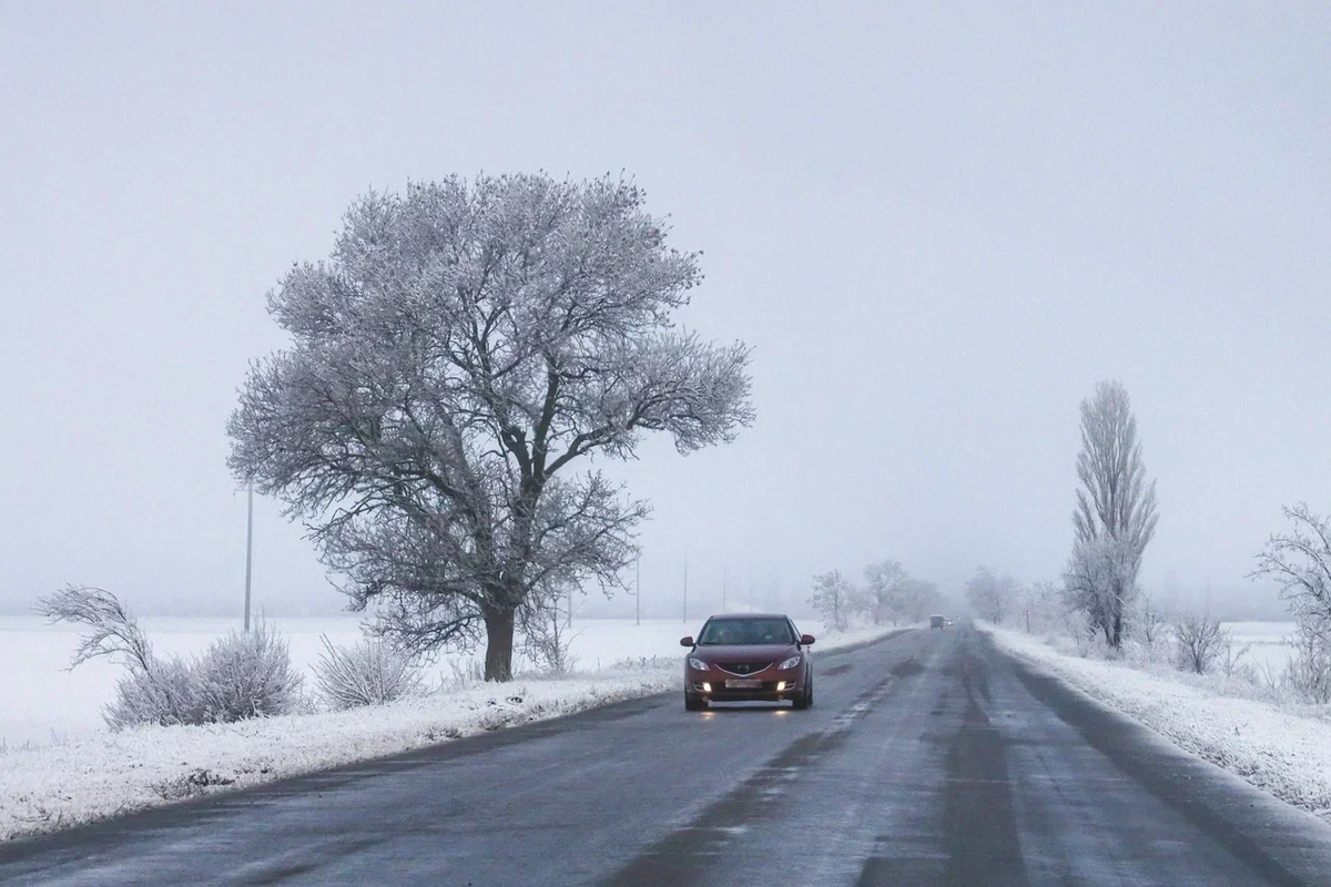    Фото: ТРК «Таврия»
