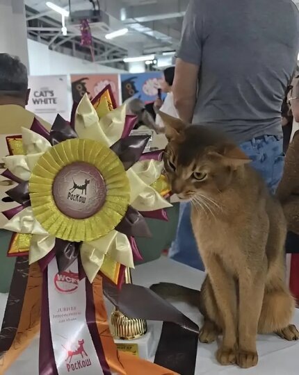    Далмоша, как настоящий чемпион, проверяет награду на прочность, прикусывая её словно золотую медаль.Из личного архива