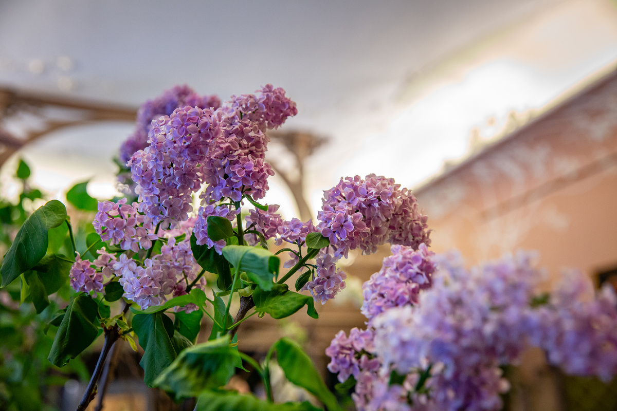 Фото: ГМЗ «Царское Село», Екатерина Новак