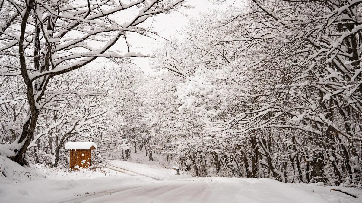 © Courtesy of Kakheti Region