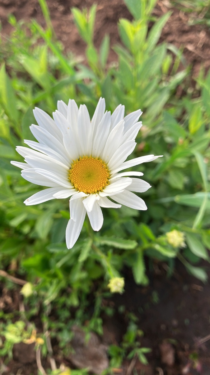 Скоро лето...