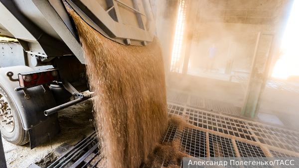     Фото: Александр Полегенько/ТАСС   
 Текст: Дмитрий Скворцов