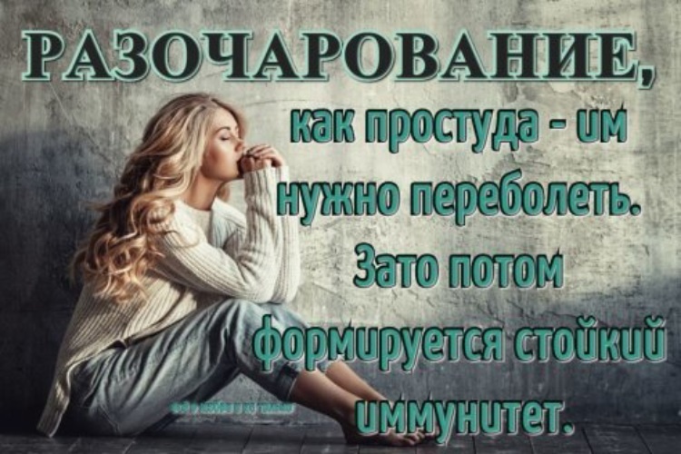 Яндекс картинки 