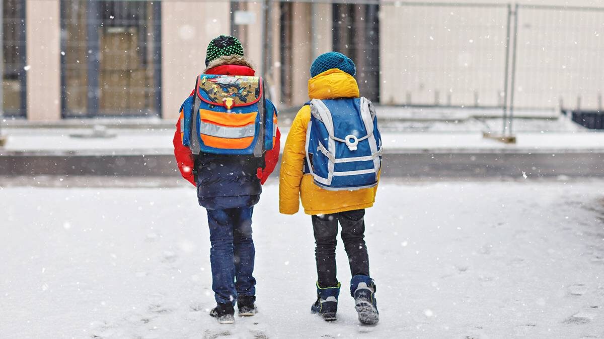    Фото: Shutterstock