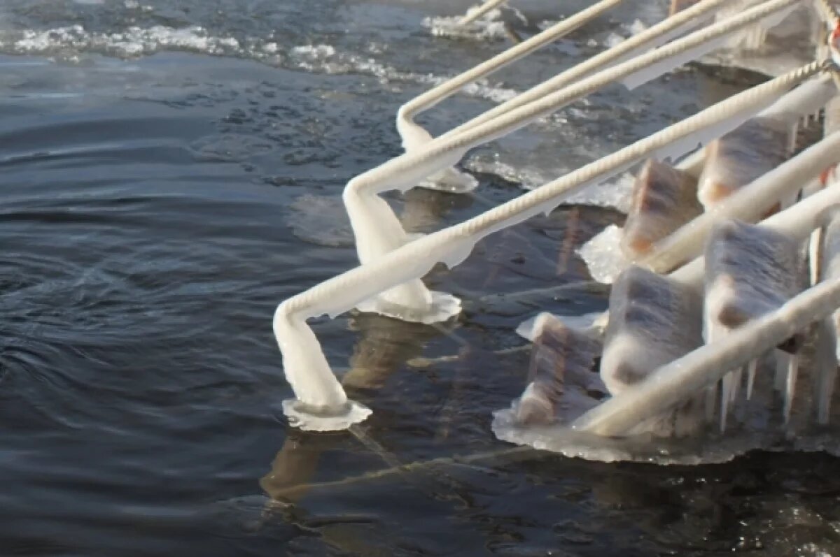    Глава центра моржевания Якупов прокомментировал купание годовалого малыша