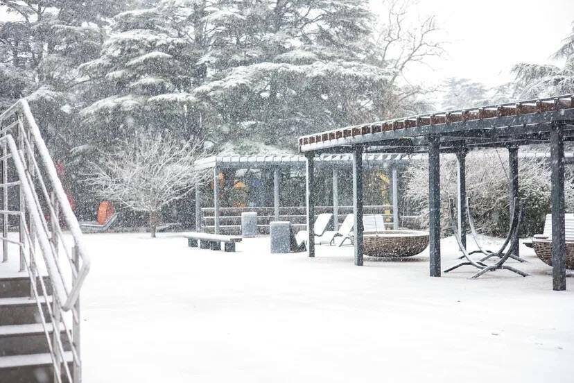 Фото предоставлено организатором