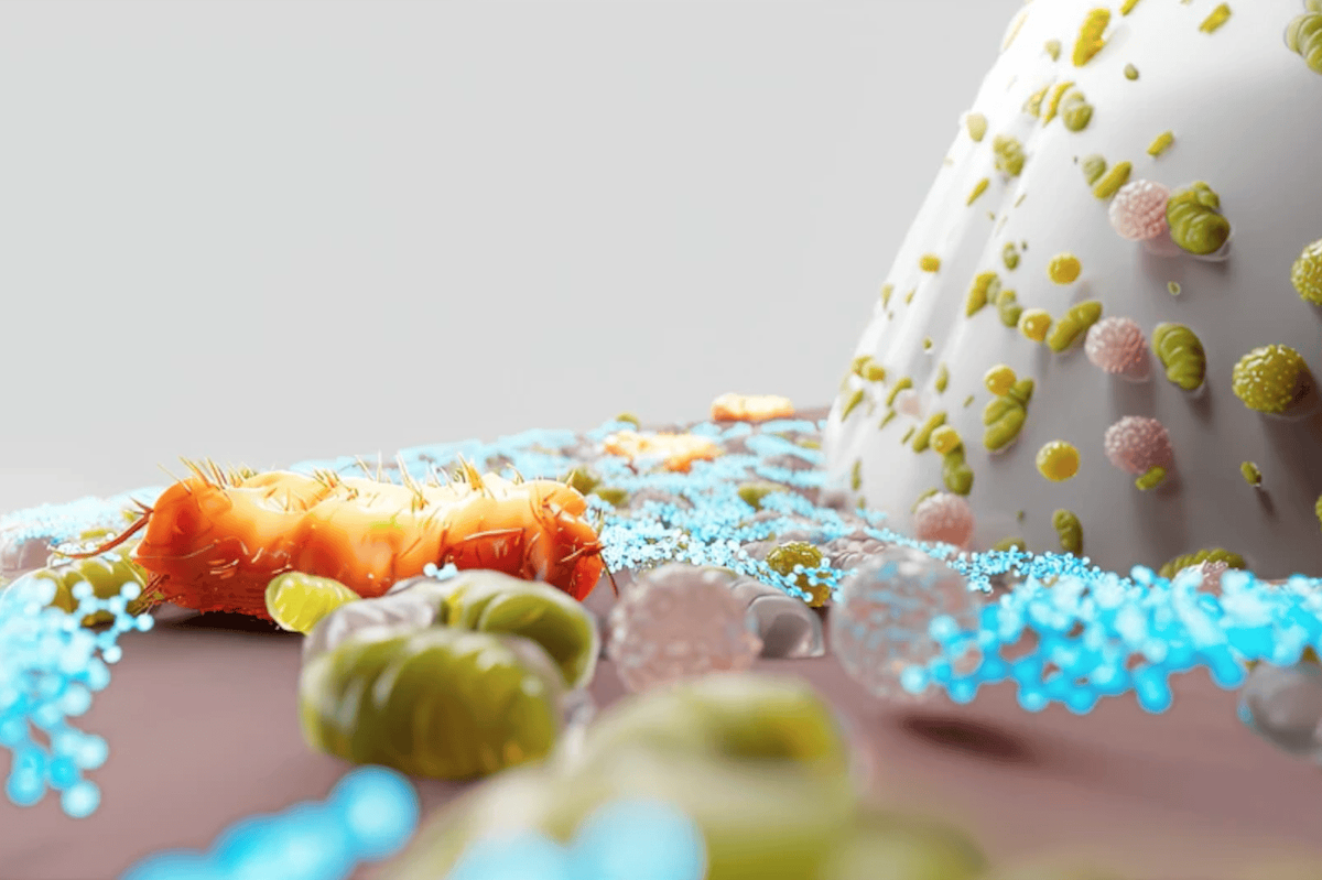    Чистка зубов сейчас заключается в том, чтобы просто убрать все бактерии, но делать это надо точечно. Изображение: Newatlas