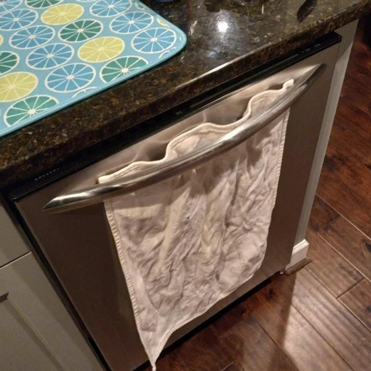 © thebasisofabassist