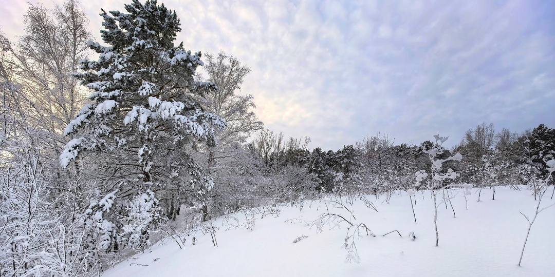 Фотозарисовки Сибирской зимы