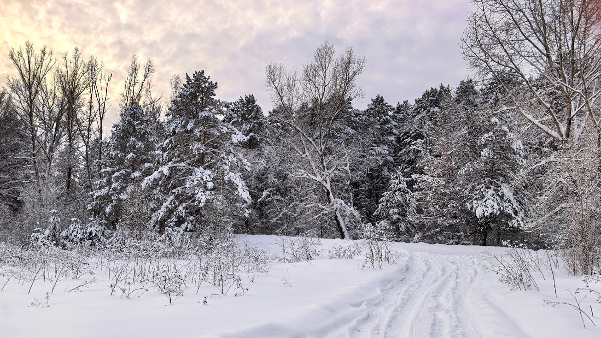 Снежная Сибирская Зима.