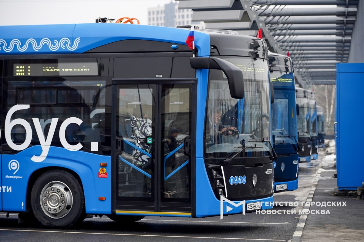 Фотограф: Александр Авилов