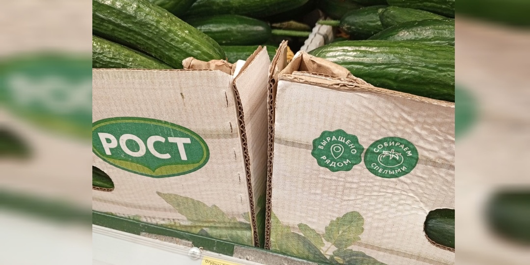 Жители Кирова слагают стихи об огурцах ценой в 500 рублей за килограмм