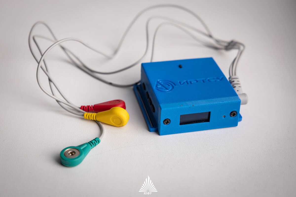    Фото: пресс-центр ЮФУ