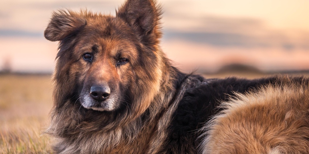 Друзей не бросают