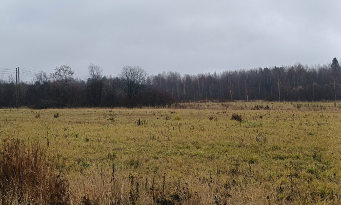    фото: © Евгений Белянчиков / Столица на Онего