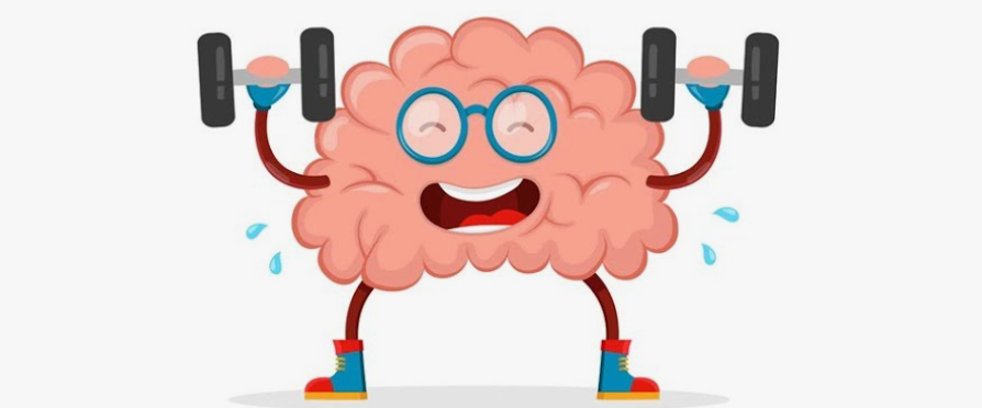 Руки действуют - мозг работает: как руки помогут улучшить память и внимание с помощью 5 упражнений