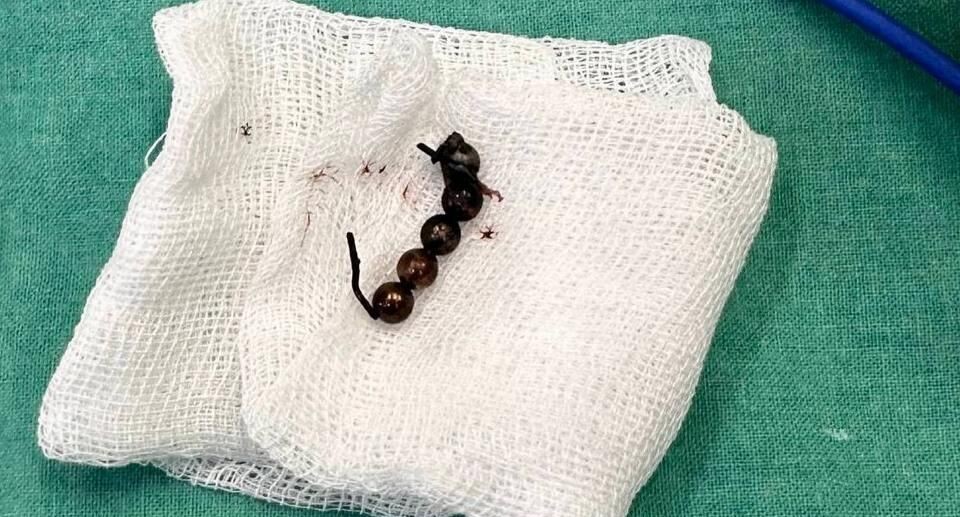    Пресс-служба Министерства здравоохранения Московской области