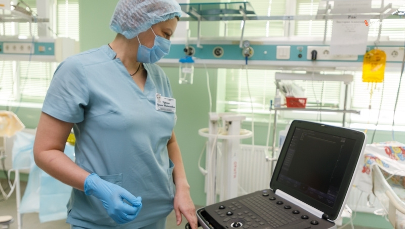      Фото: ИА «Победа26»