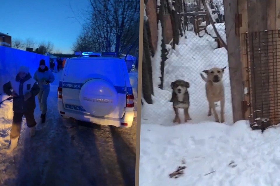    Зоозащитники весь день дежурили у ворот приюта, с готовностью забрать оставшихся животных. Фото: скриншот с видео из группы вконтакте «О чем молчат узники Семена Филипповского»