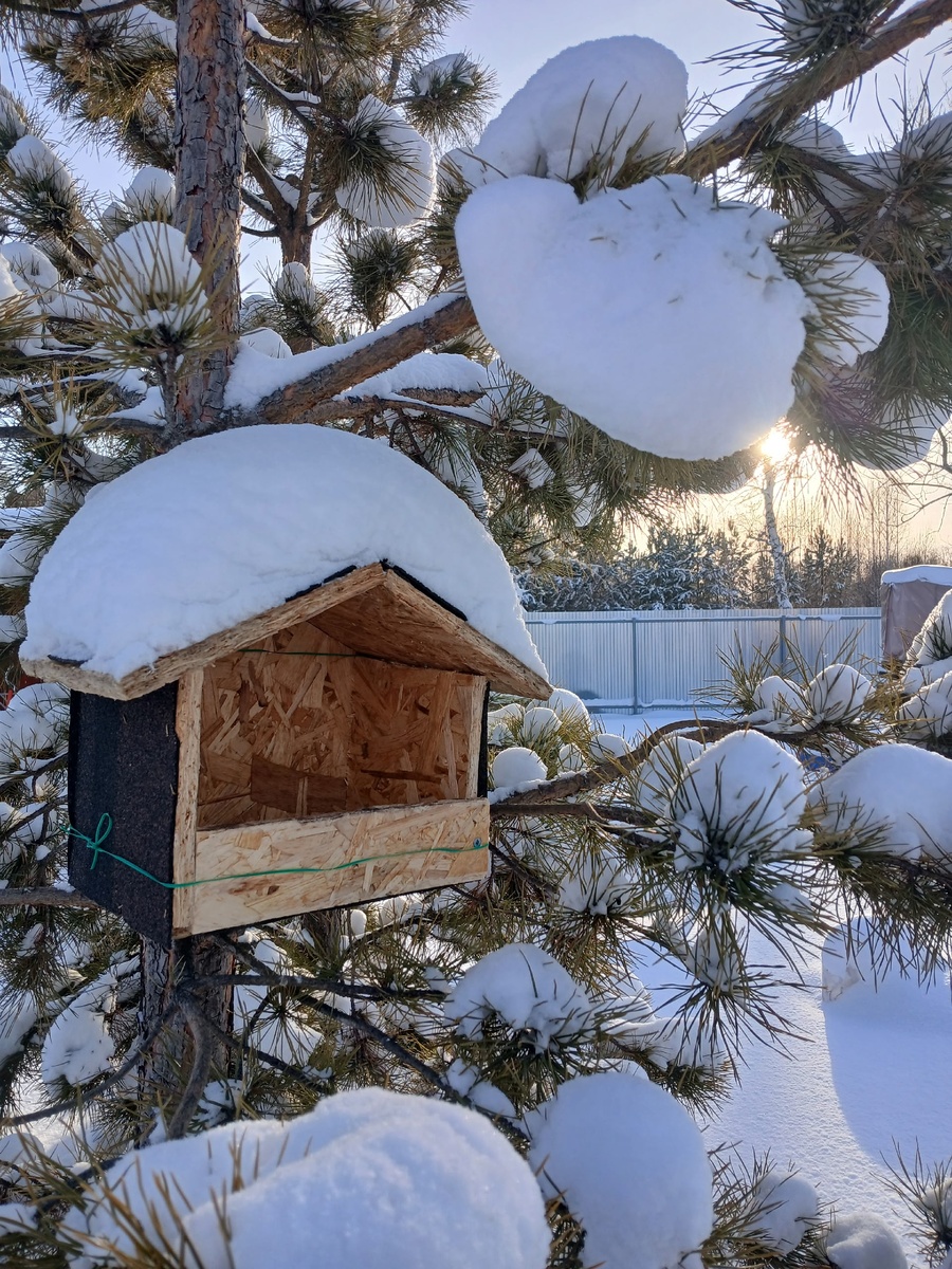 Кормушка пользуется спросом - как ни приедем, всегда пустая