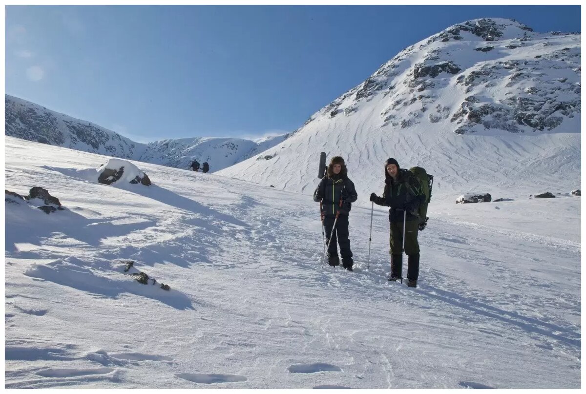 изображение из открытых источников в интернете