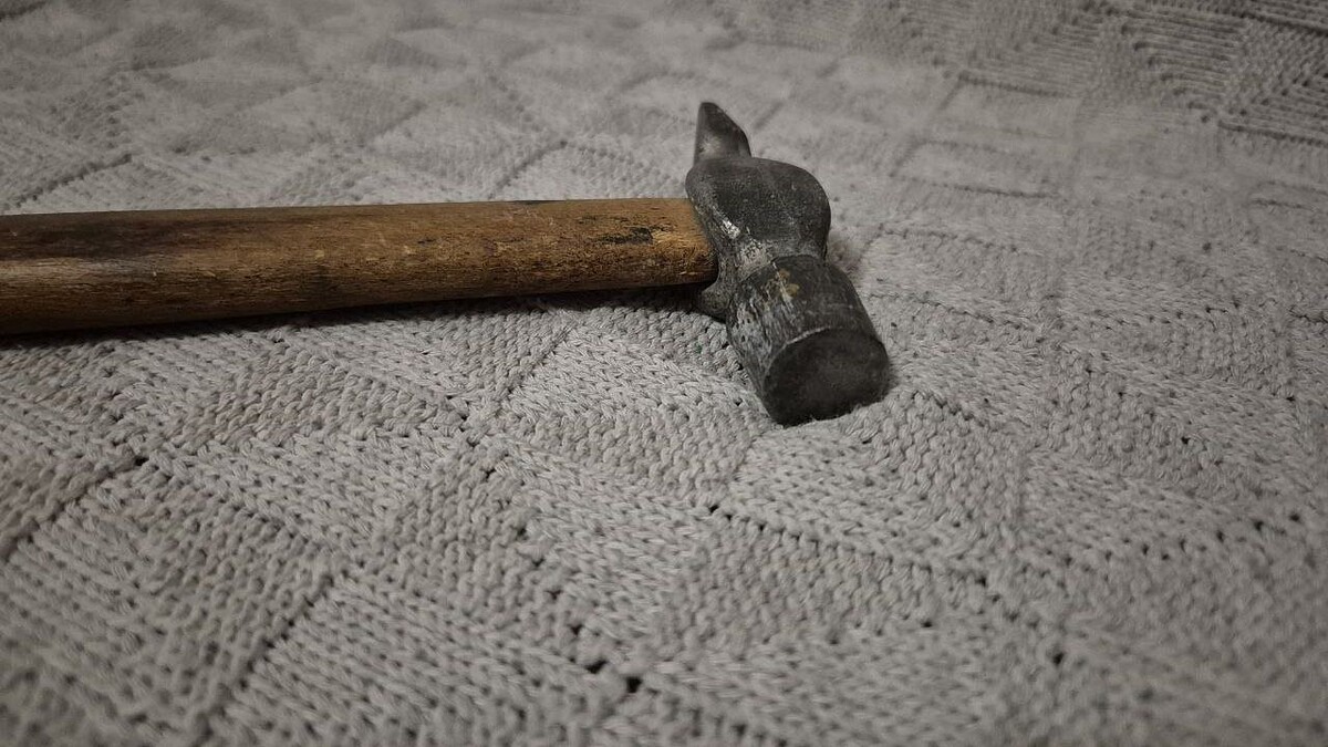    Фото: телеканал «Краснодар»