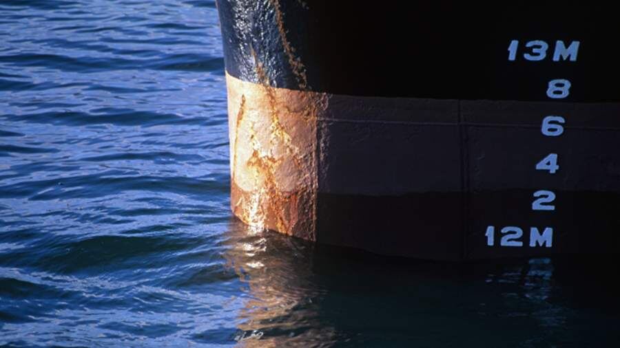    Фото: Global Look Press