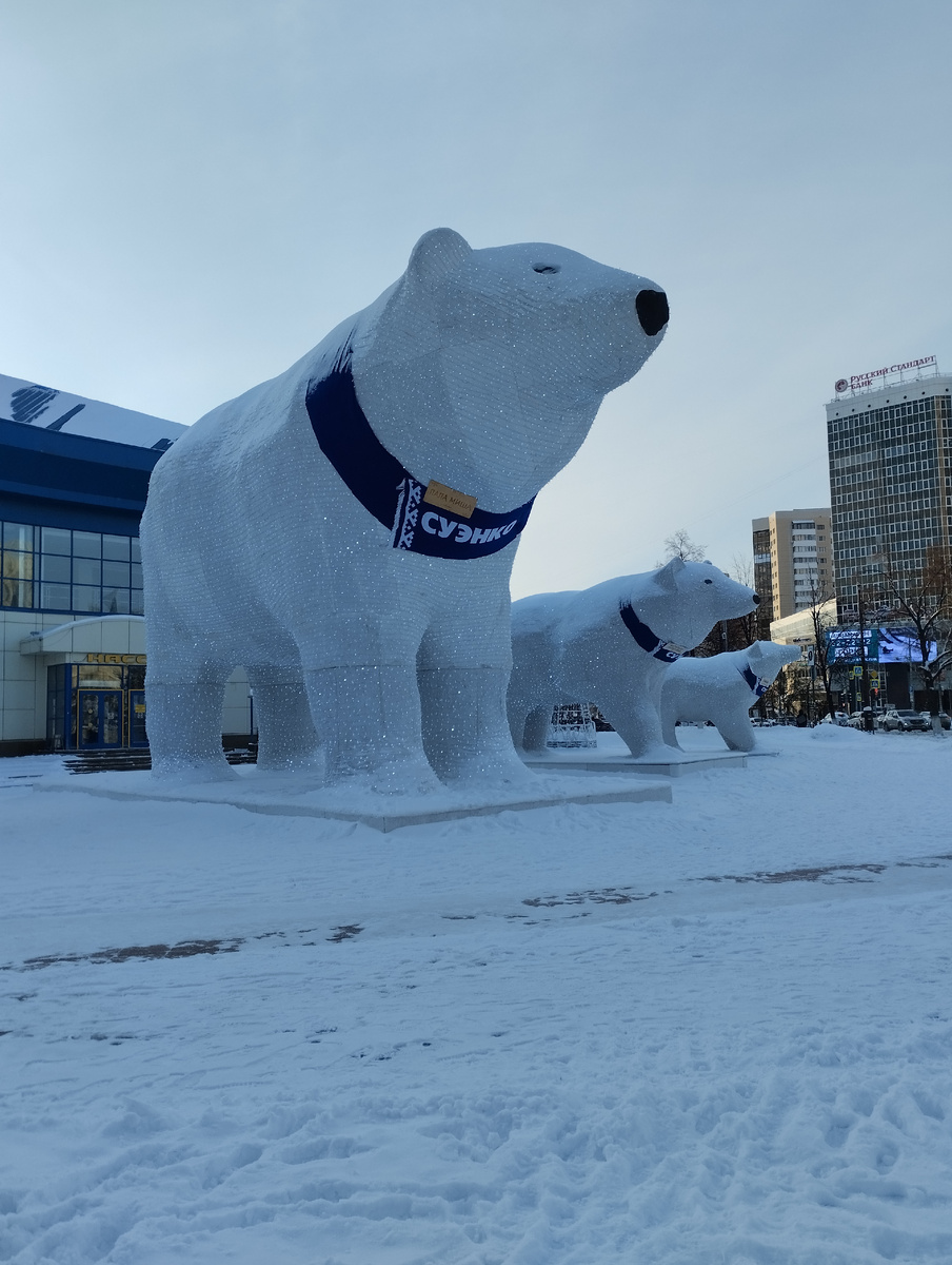 Белые медведи: папа, мама и медвежонок 