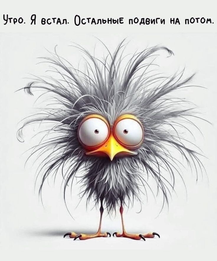 Картинка с интернета. https://ru.pinterest.com/pin/8655424281940067/