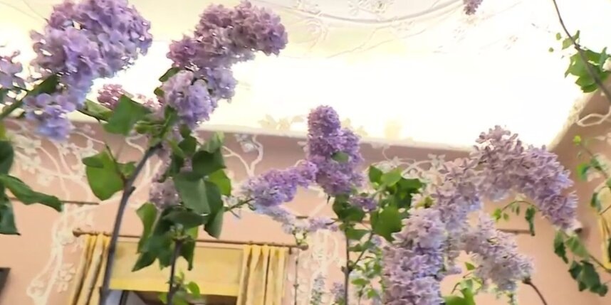    скриншот репортажа телеканала "Санкт-Петербург"