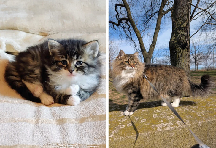 © Unlikely-Storage-156