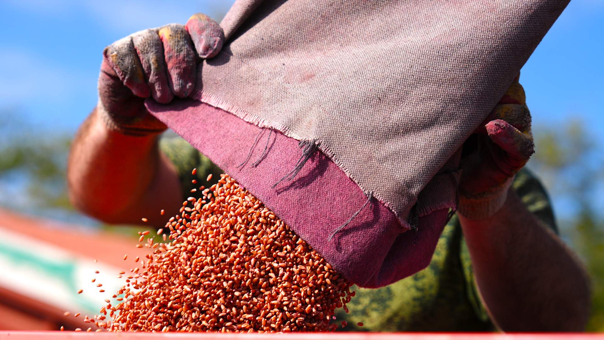 Фото: ИЗВЕСТИЯ/Эдуард Корниенко