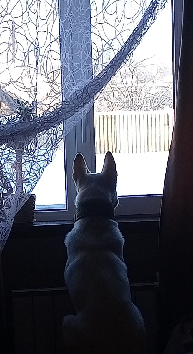 Фото автора канала 