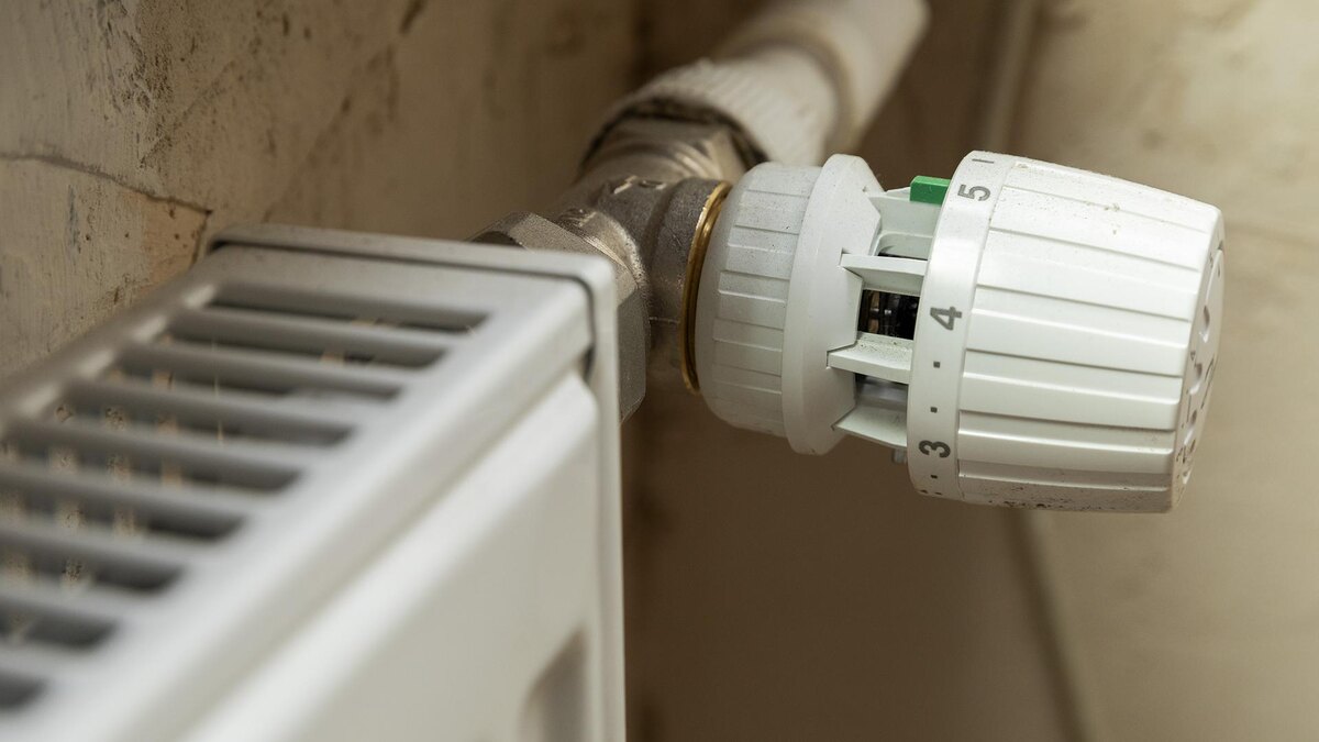    Фото: Aleksey Smyshlyaev/globallookpress.com