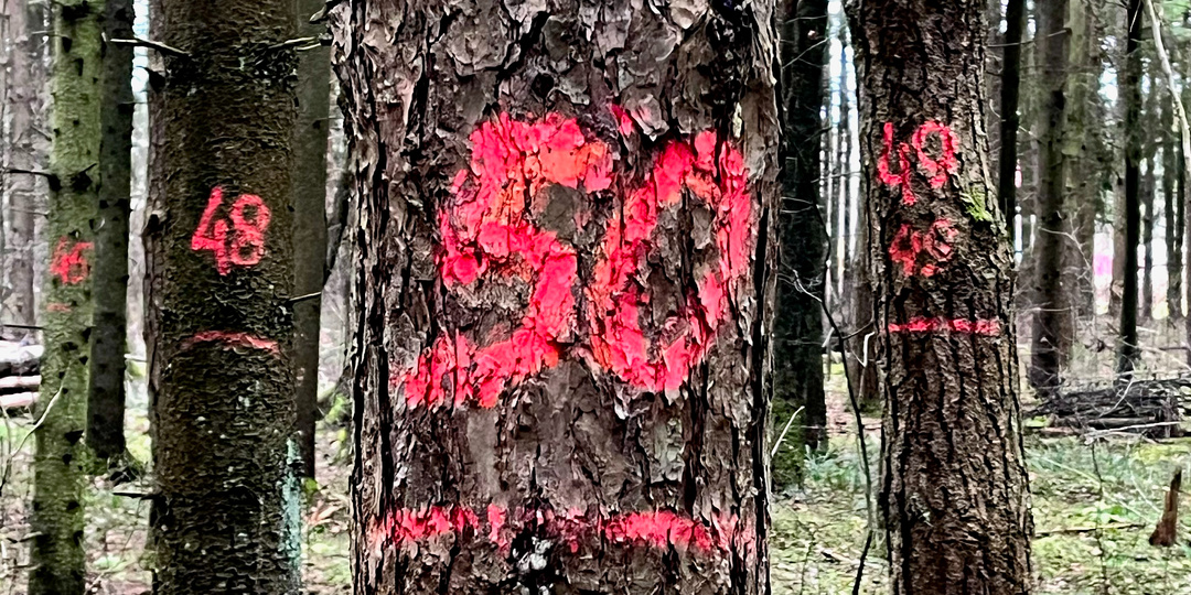 5 смыслов и идей, к которым я пришла в 50 лет